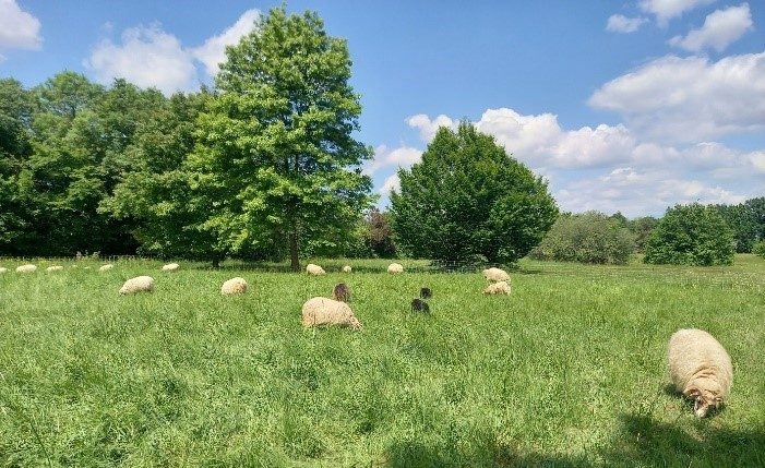 Parc Des Coteaux On Sy Retrouve GPV Rive Droite