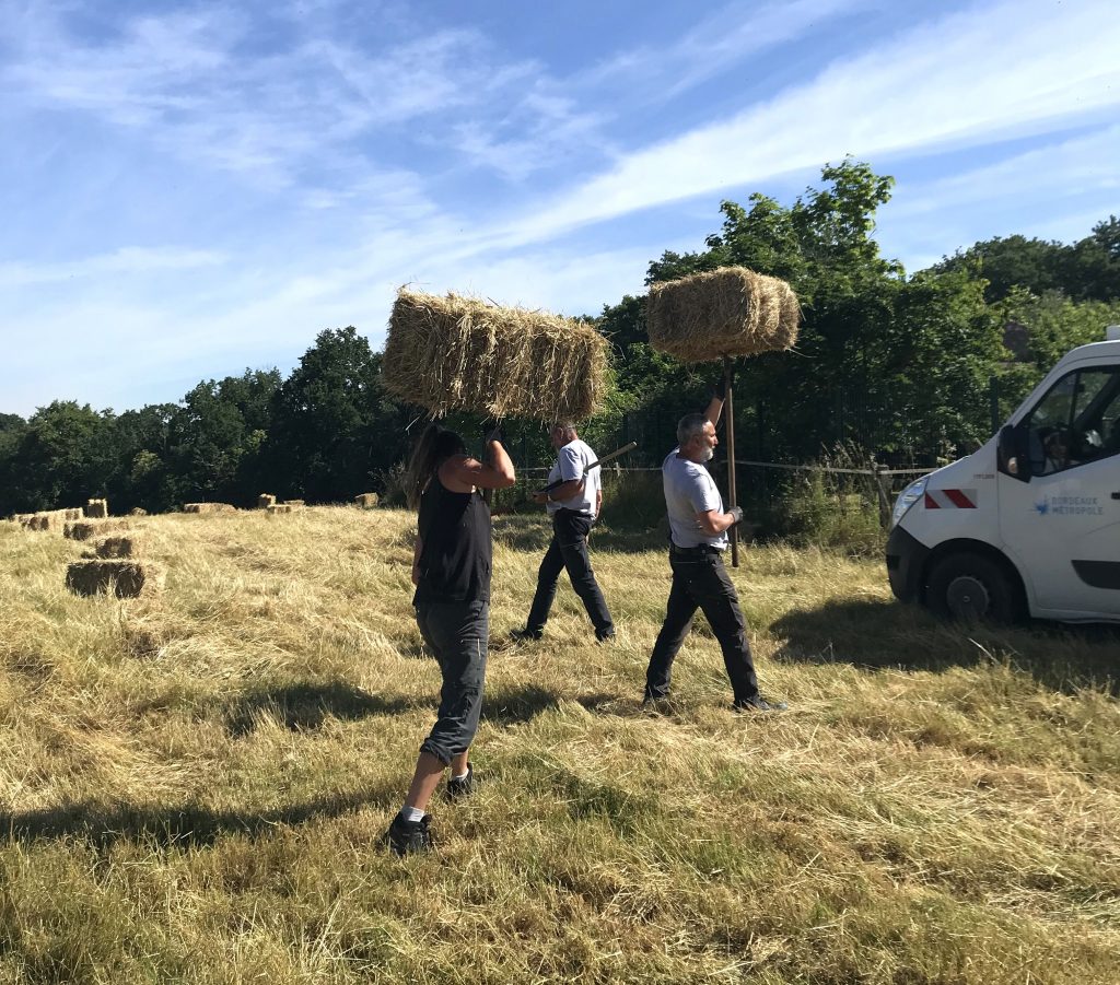 Les jardiniers de Floirac charge les bottes de foin sur un camion