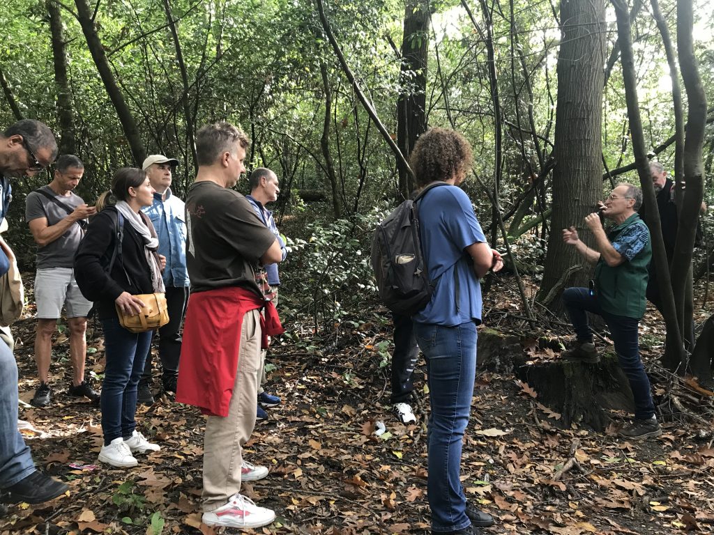 Les jardiniers dans les bois, module formation maître jardinier sur les arbres - octobre 2024